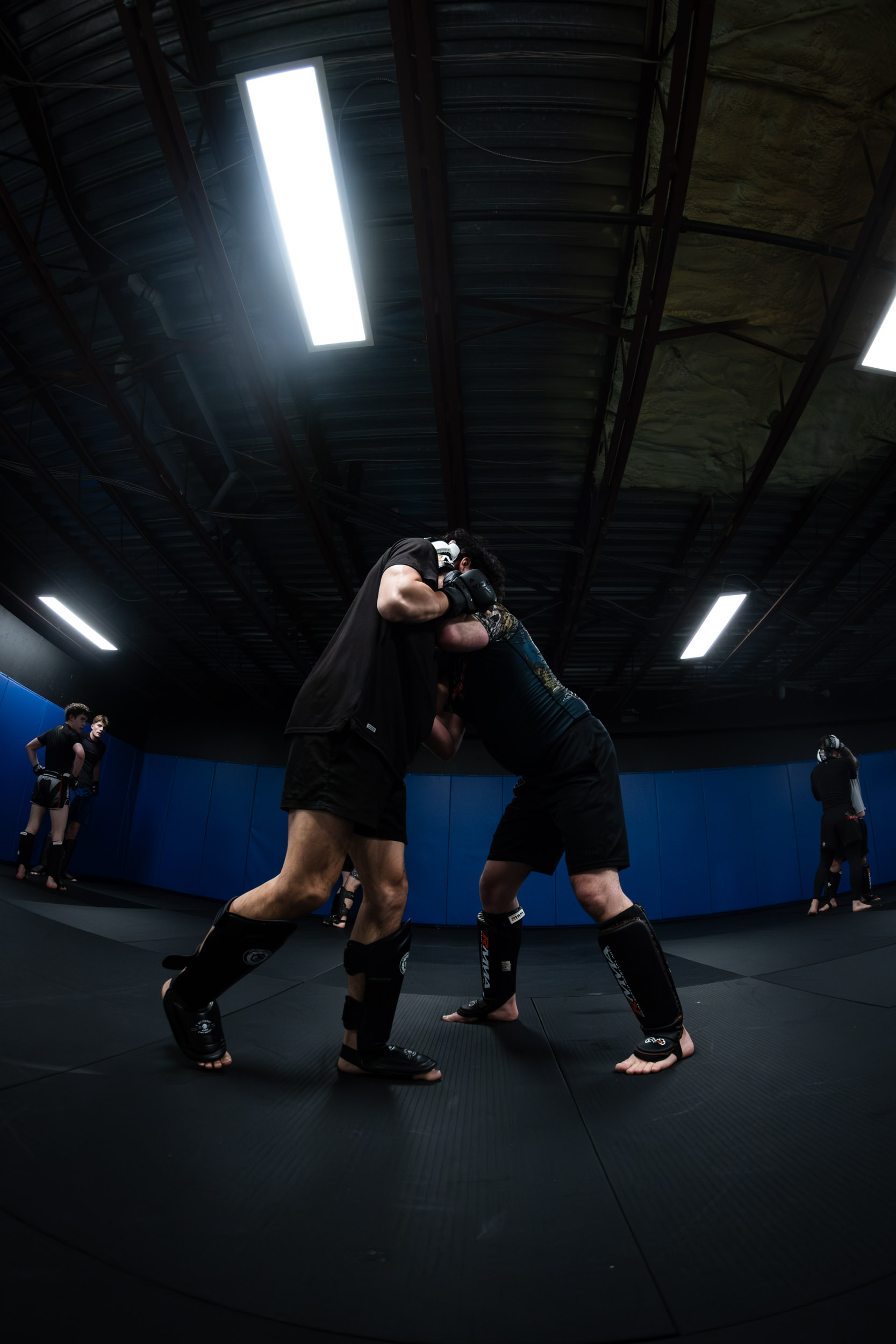 Sparring de MMA dans la salle de combat