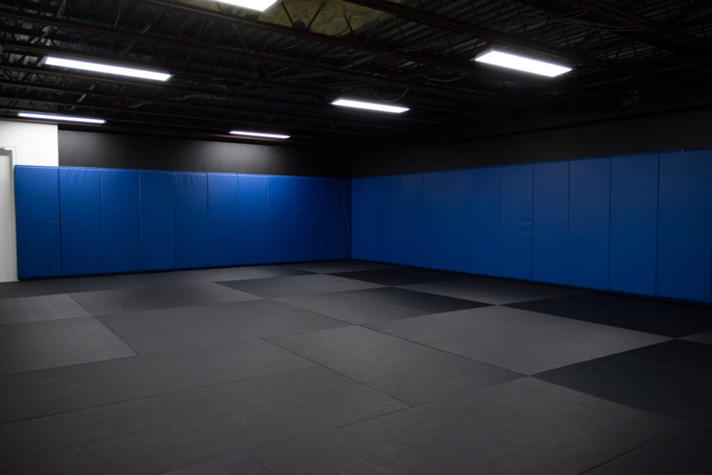 Espace de combat et tatamis